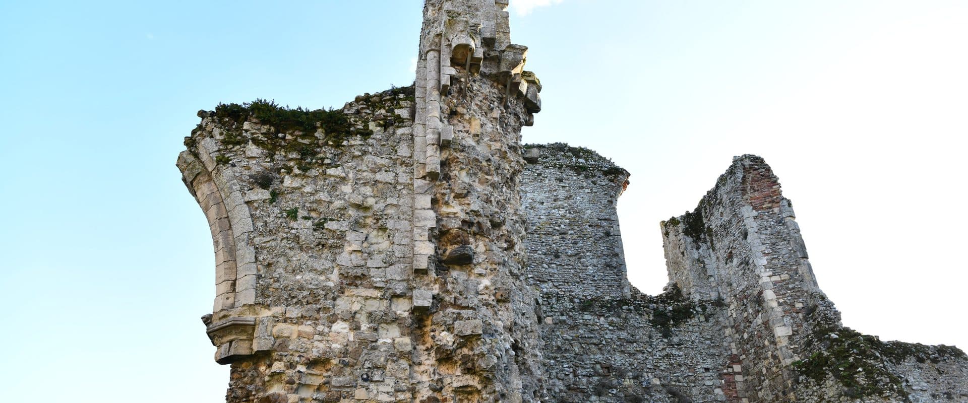 The flint ruins of 14th-century Leiston Abbey standing in open Suffolk countryside